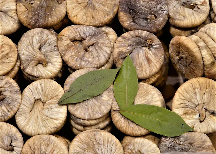 A Tu Marchese Matino