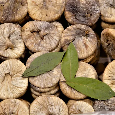 A Tu Marchese Matino