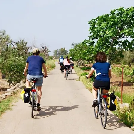 A Tu Marchese Bed and Breakfast Matino