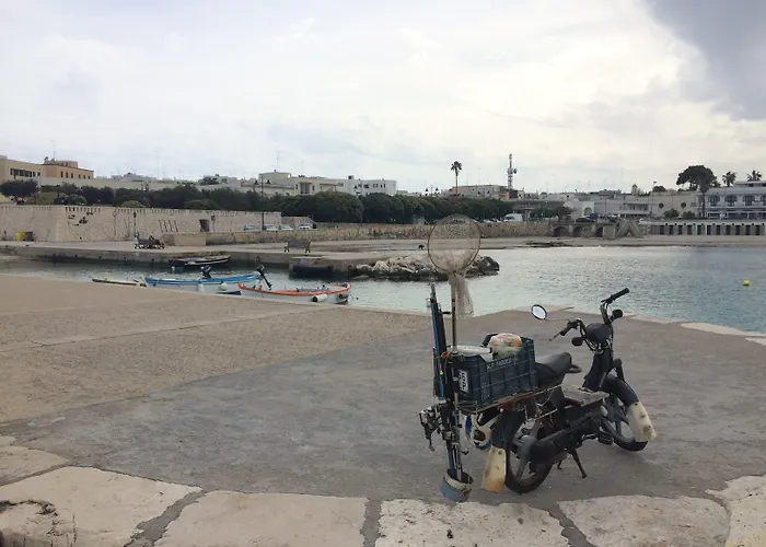 A Tu Marchese Bed & Breakfast Matino